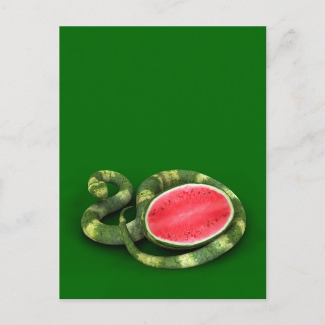 Grönt Watermelon Snake Vykort (Framsida)
