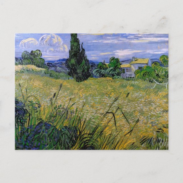 Grönt Wheat Fält med Cypress av Van Gogh. Vykort (Framsida)