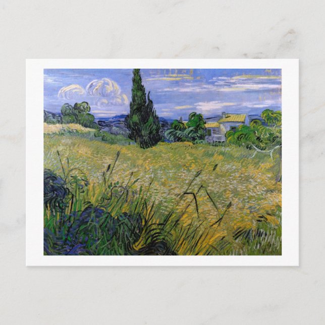 Grönt Wheat Fält med Cypress av Van Gogh. Vykort (Framsida)