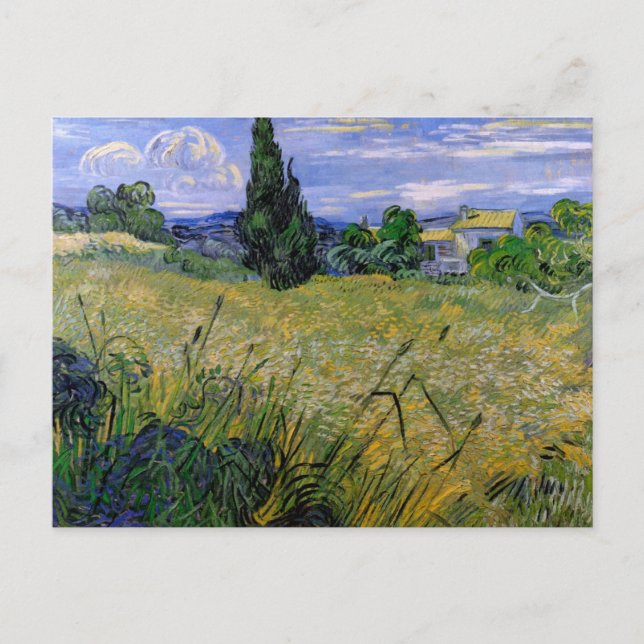 Grönt Wheat Fält med Cypress av Vincent van Gogh Vykort (Framsida)