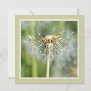 Grönt White Dandelion Flowers Baby Shower Inbjudningar