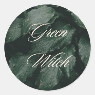Grönt Witch Runt Klistermärke