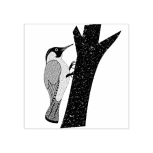 Grönt Woodpecker Illustration Stämpel