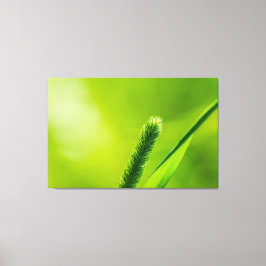 Grönt World Canvastryck