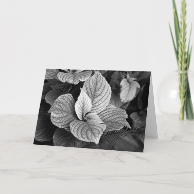 Gröntar i B/W-kort Kort (Framsida)