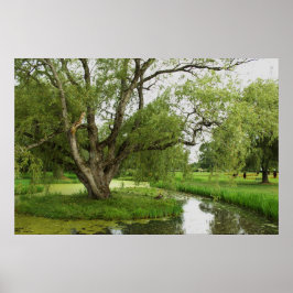 Gröntarna av tusen dollar Pre Poster