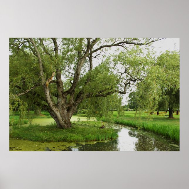 Gröntarna av tusen dollar Pre Poster (Framsidan)