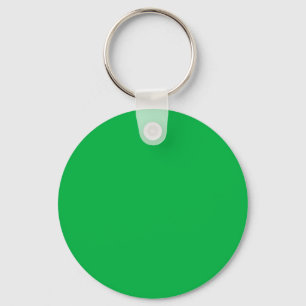 Grönten Chroma nyckel färg Nyckelring