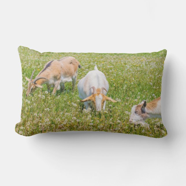 Grönten Cute Goats Boskap Lumbarkudde (Framsida)