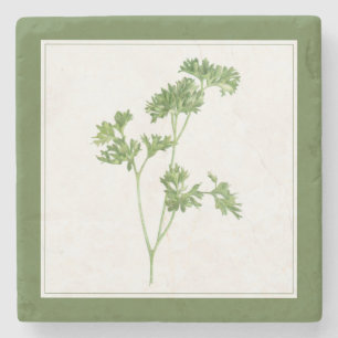 GRÖNTEN FÄRSK PARSLEY Marble Stone Underlägg (-tex