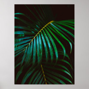 Grönten för den tropiska Handflatan- i Löv Poster