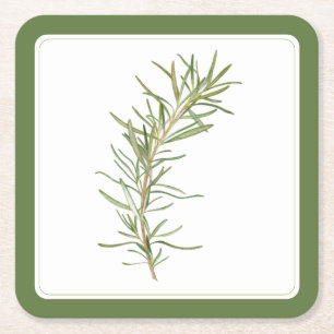 GRÖNTEN FRESH ROSEMARY Square Papper Underlägg (-t Kvadrat