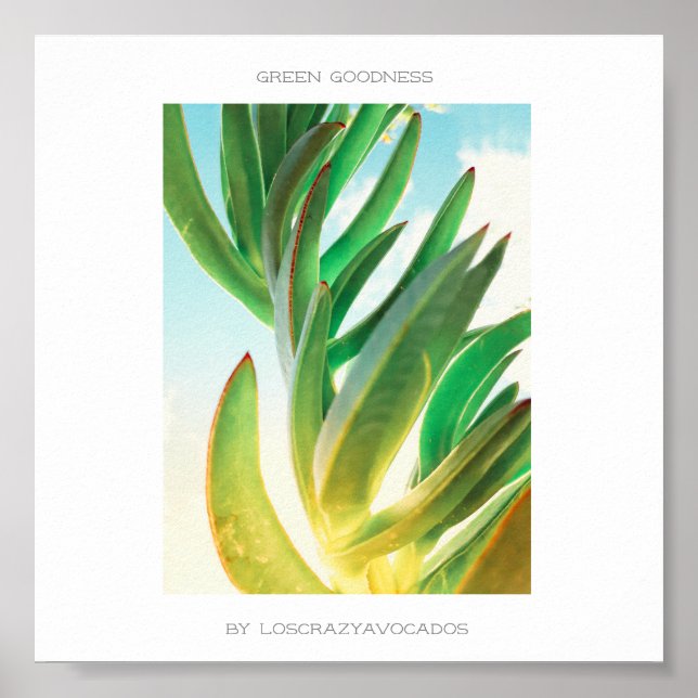 Grönten Godhet Succulent Plant Aloe Poster (Framsidan)