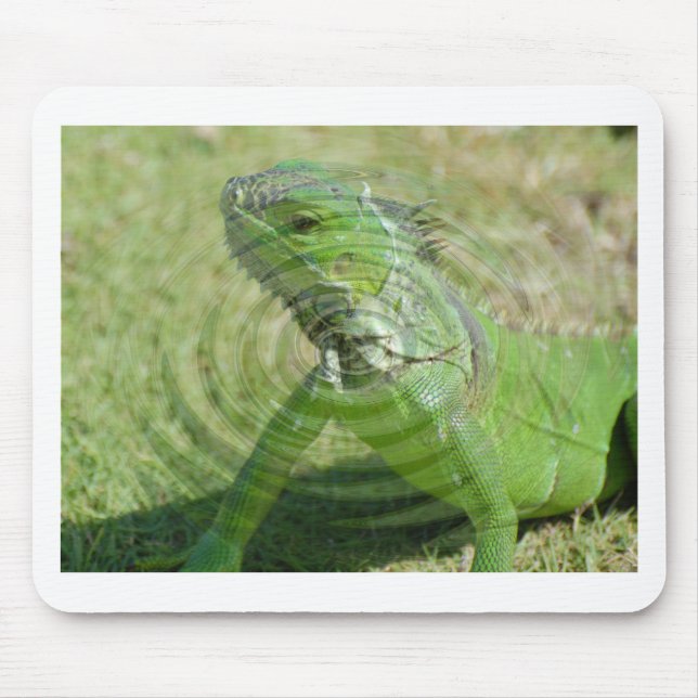 Grönten Iguana Musmatta (Framsidan)
