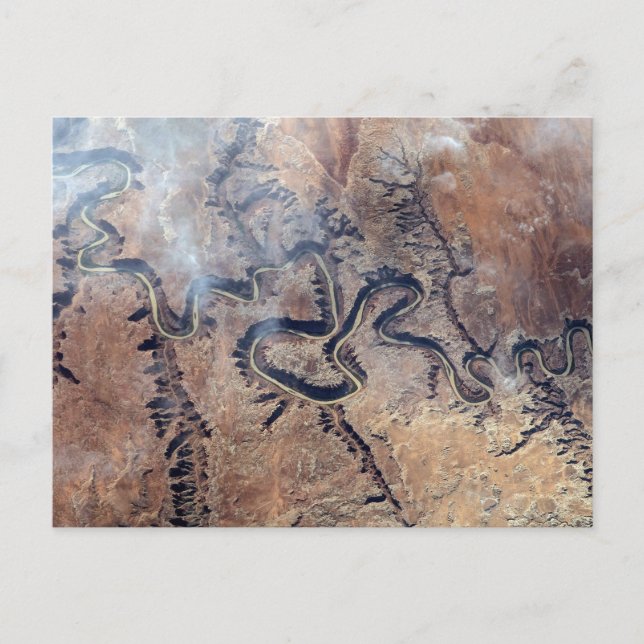 Grönten och dess bifloder i Utah Vykort (Framsida)