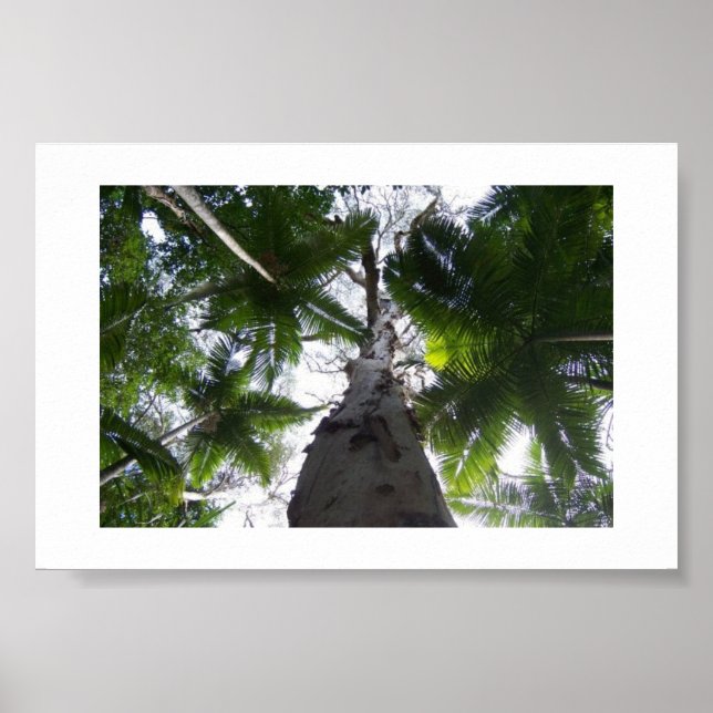 Grönten ovanför Australiens Färg-fotografi Poster (Framsidan)