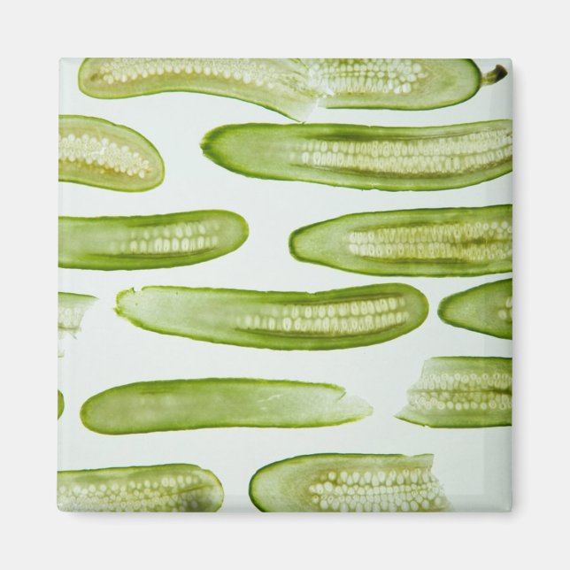 Grönten Pickles Magnet (Framsidan)