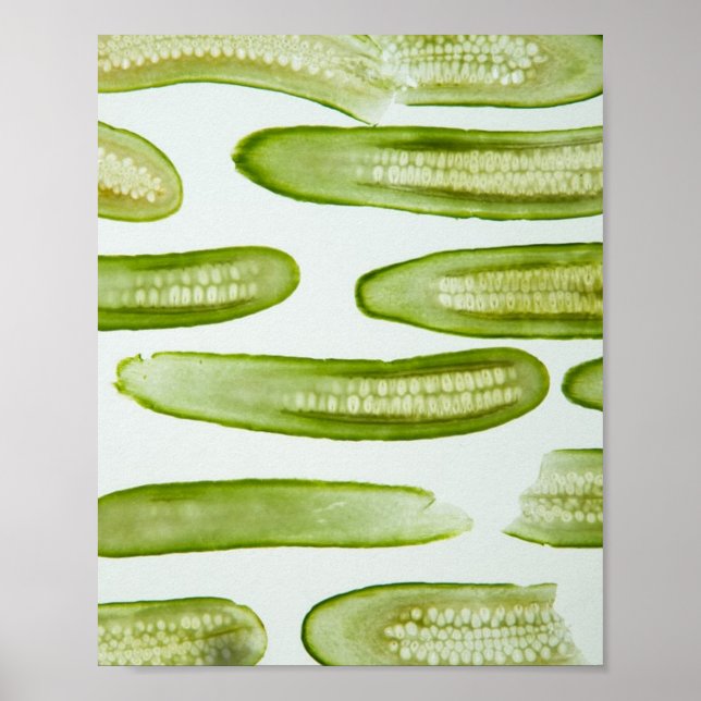 Grönten Pickles Poster (Framsidan)