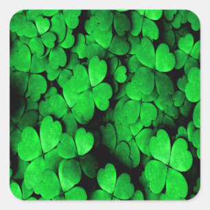Grönten Shamrocks och Hearts Saint patrick's day Fyrkantigt Klistermärke