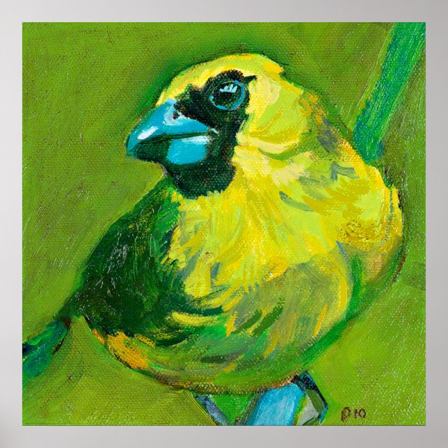 Gröntens fågel med blåstöt poster (Framsidan)