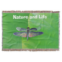 Gröntens natur och livets dragonfly