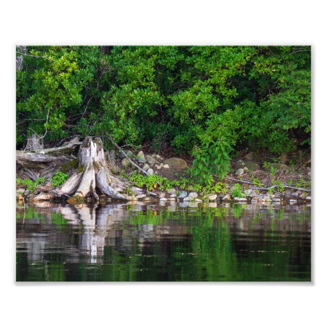 Gröntens reflektioner fototryck (Framsidan)