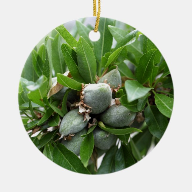 Gröntfrukter av ett mandelträd julgransprydnad keramik (Framsidan)