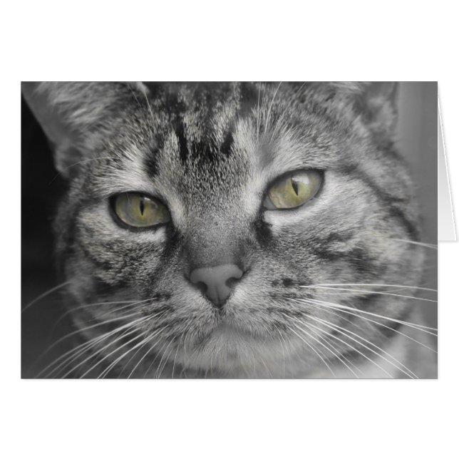 Gröntögon Hälsningskort (Framsidan Horizontal)