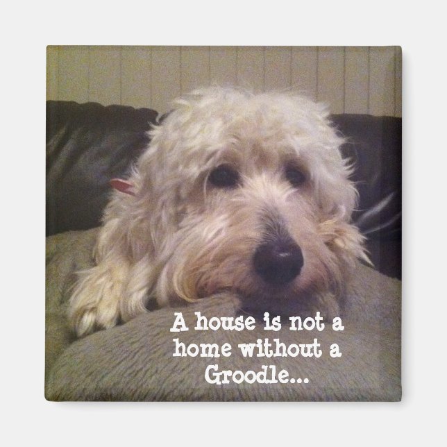 Groodle magnet (Framsidan)