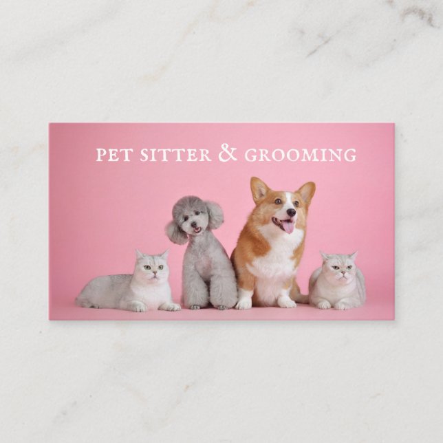 Grooming av Hund Cute Pet Sitter Visitkort (Framsida)