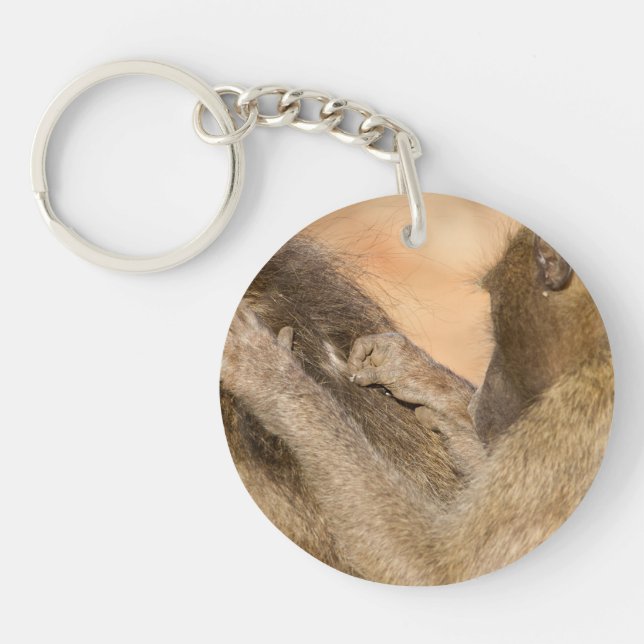 Grooming baboons (Framsidan)