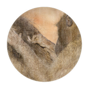 Grooming baboons