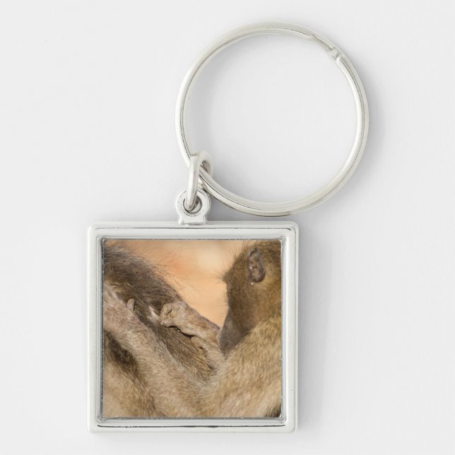 Grooming baboons fyrkantig silverfärgad nyckelring (Framsidan)