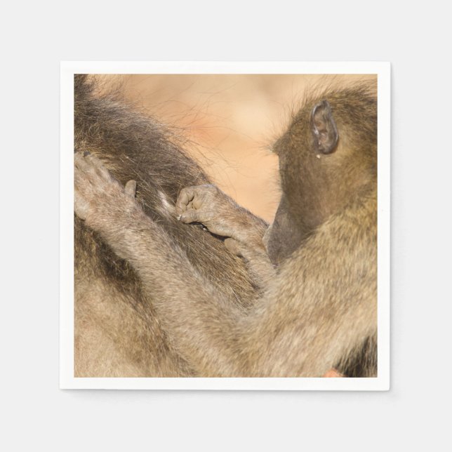 Grooming baboons pappersservett (Framsidan)