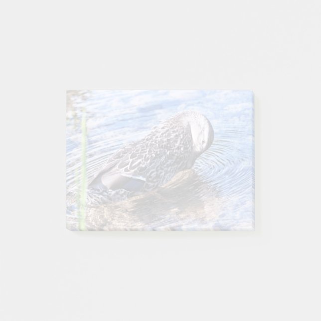 Grooming-effekten Post-it Block (Framsida)