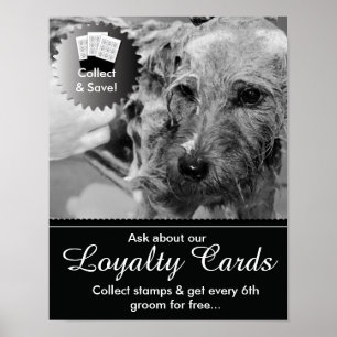 Grooming Loyalty-kort Poster