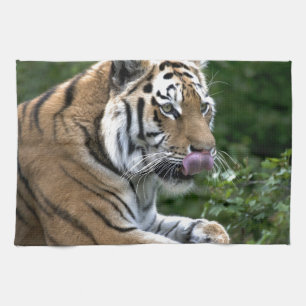 Grooming Tiger Kökshandduk