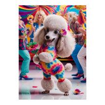 Groovie Hippie 60:s Poodle Dancing in the Disco