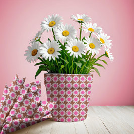 Groovy Daisy Winter Rosa