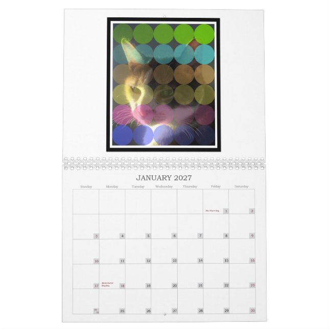 Groovy kalender 2013 för valpkattkonst (Jan 2027)