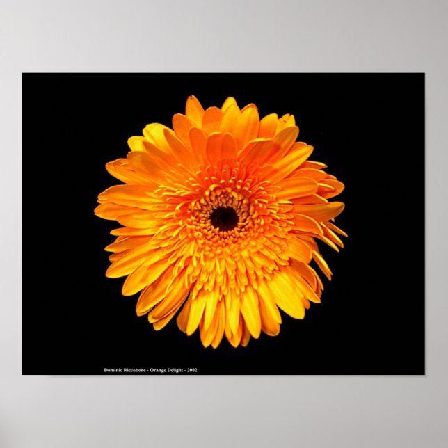 Groovy Poster (Framsidan)