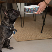 Groovy Retro Hippie Dachshund Boho Matskål för Hun