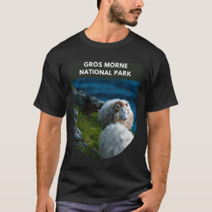 Gros Morne National Park - Newfoundland T Shirt
