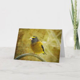 Grosbeak-hälsningskort, texturerat kvällstid kort