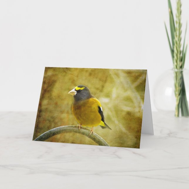 Grosbeak-hälsningskort, texturerat kvällstid kort (Framsida)