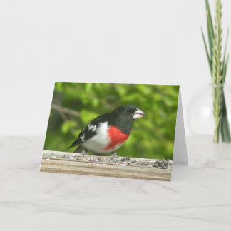 Grosbeak tänker på ditt kort (stor utskrift)
