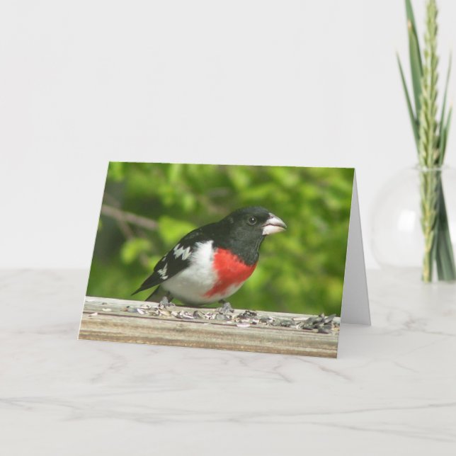 Grosbeak tänker på ditt kort (stor utskrift) (Framsida)