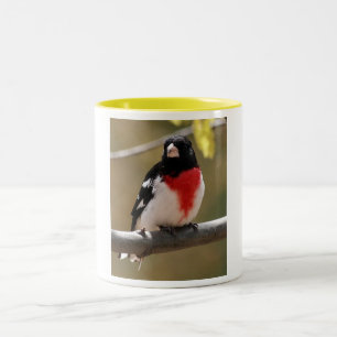 Grosbeakkaffemugg Två-Tonad Mugg
