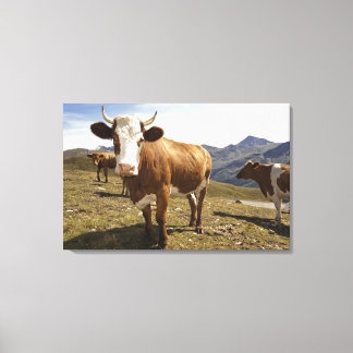 grossglockner hochalpenstrasse,hohe tauern canvastryck