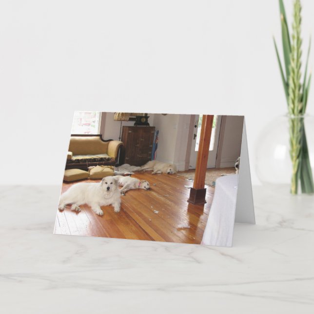 Grossistförstörelse Kort (Framsida)